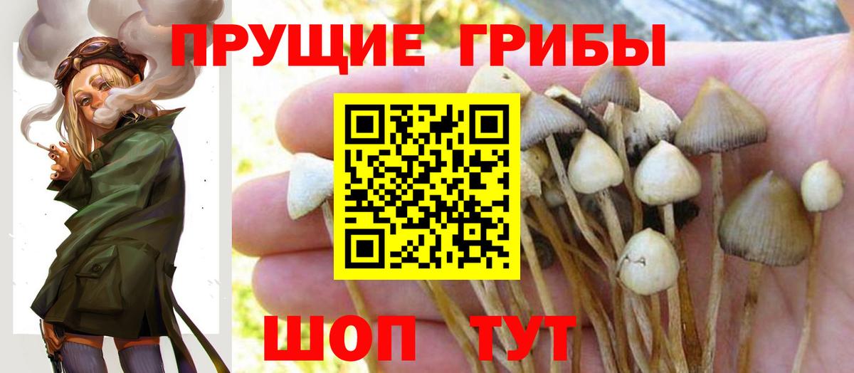 Кимовск  Галлюциногенные грибы мухоморы  Галлюциногенные грибы GOLDEN TEACHER  Вход с VPN 